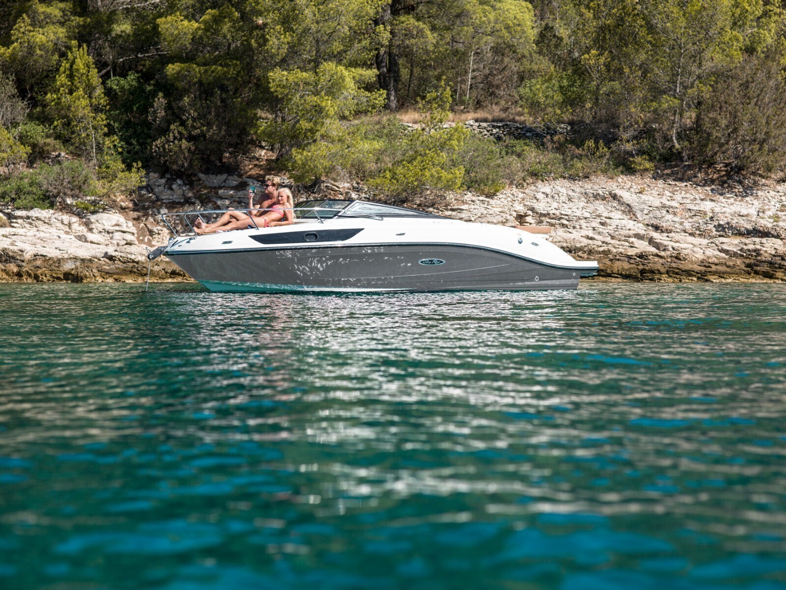 Sea Ray 230 SunSport