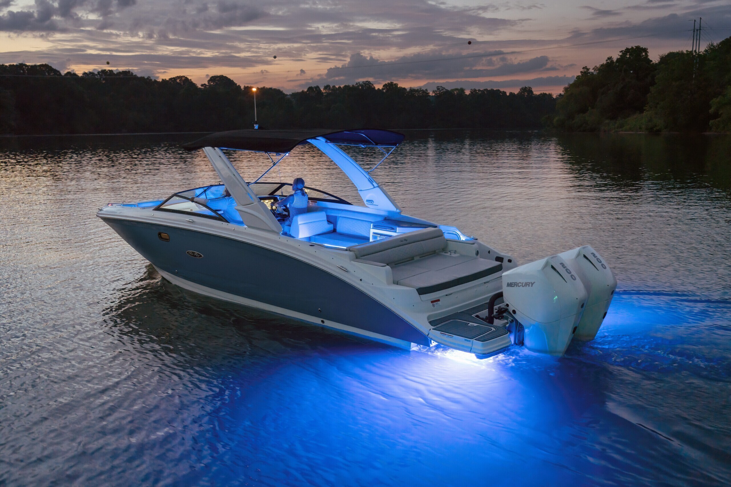 Sea Ray SDX 290 OB