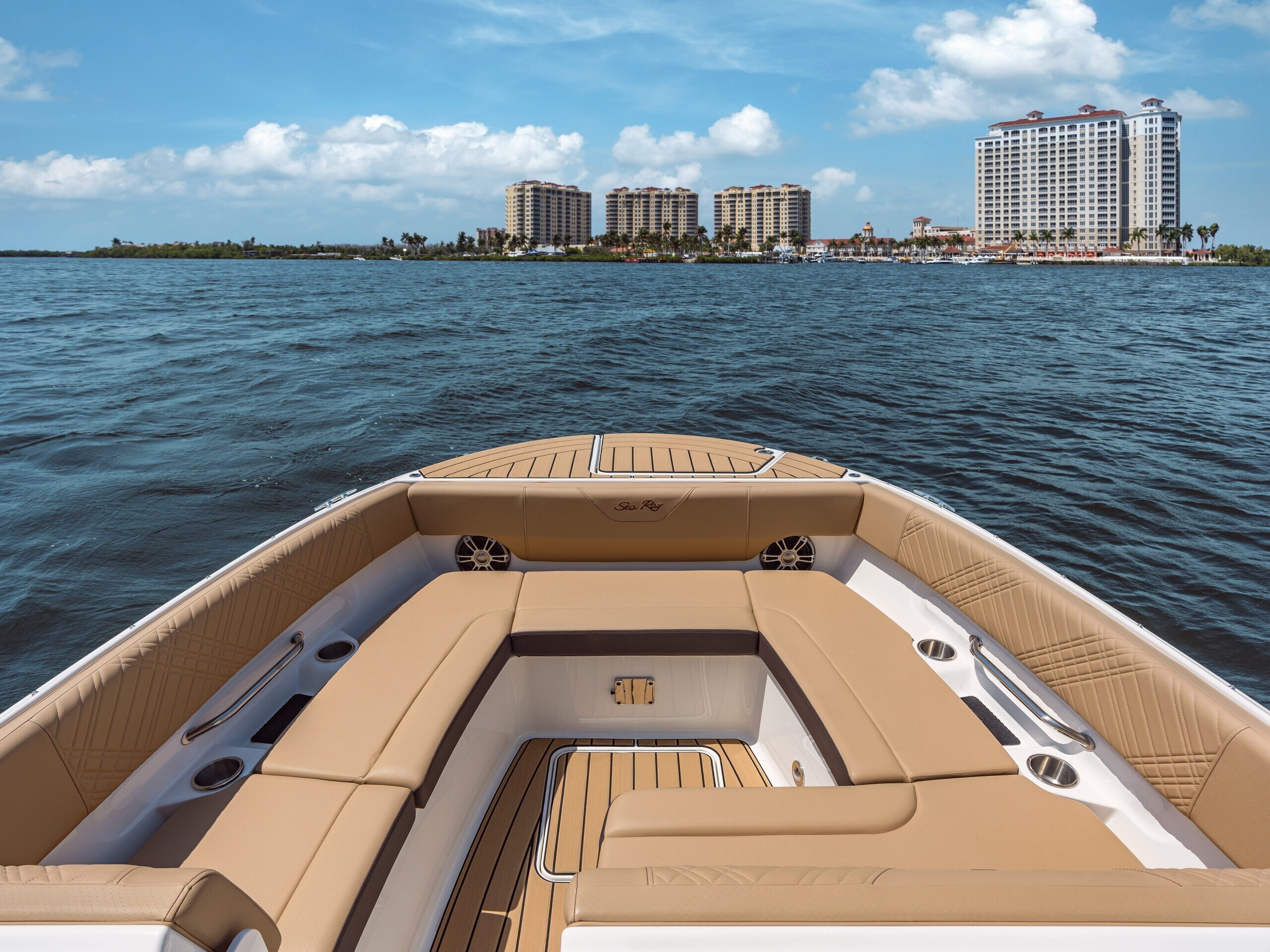 Sea Ray SDX 270