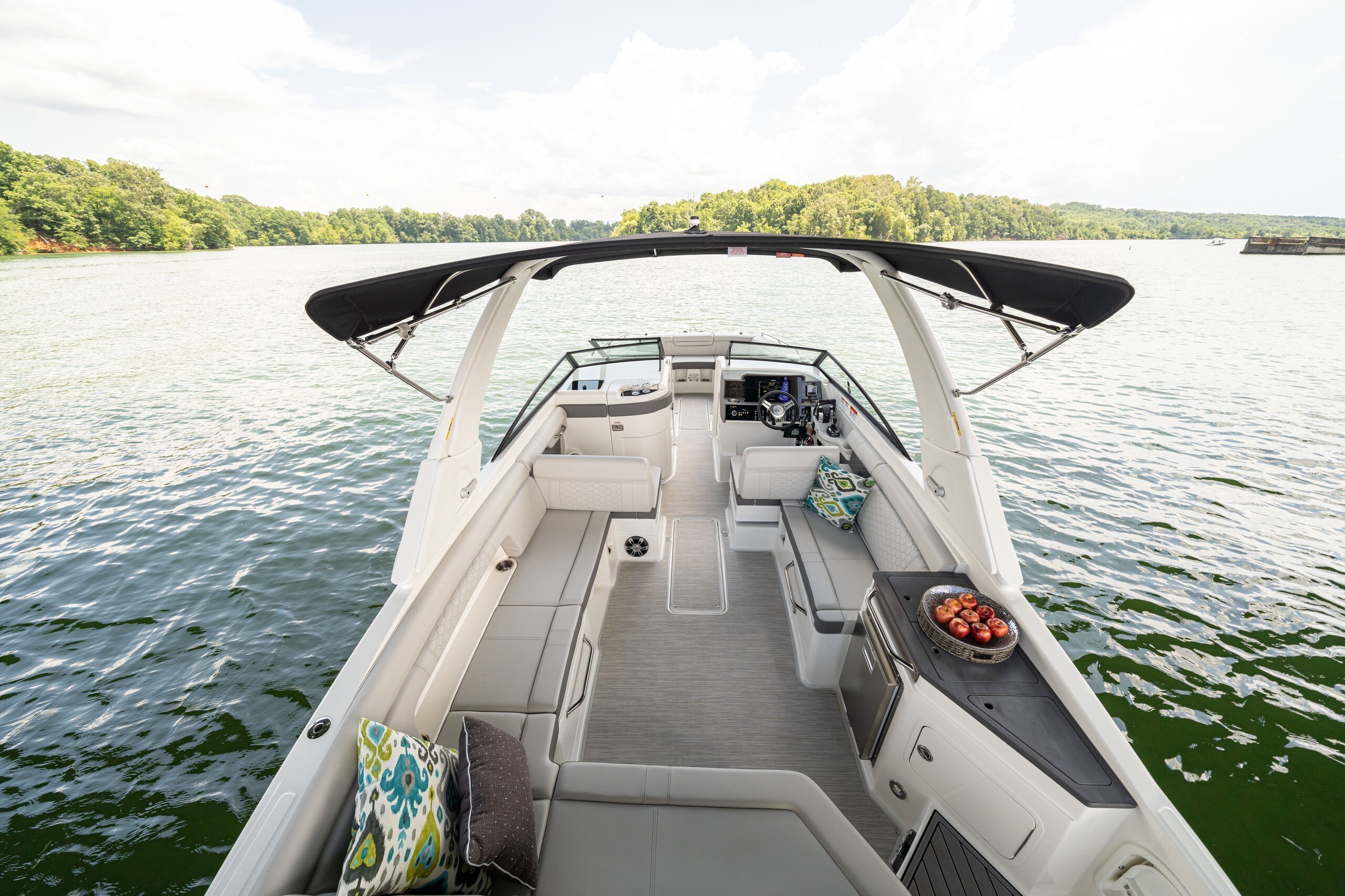 Sea Ray SDX 290 OB