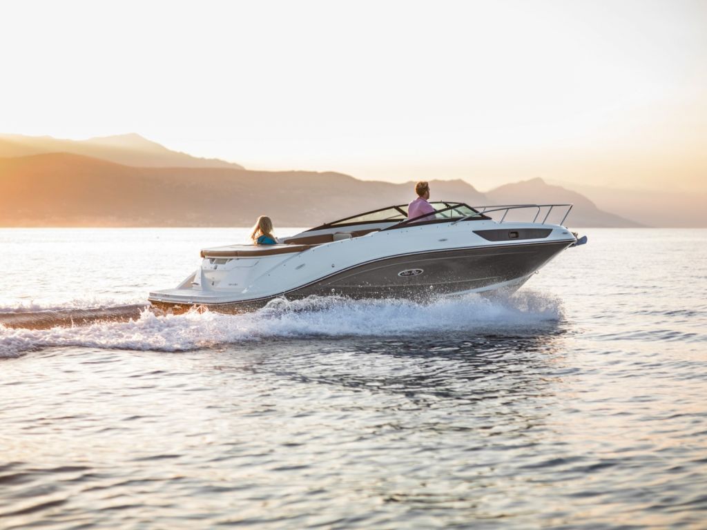 sea ray 230.jpg