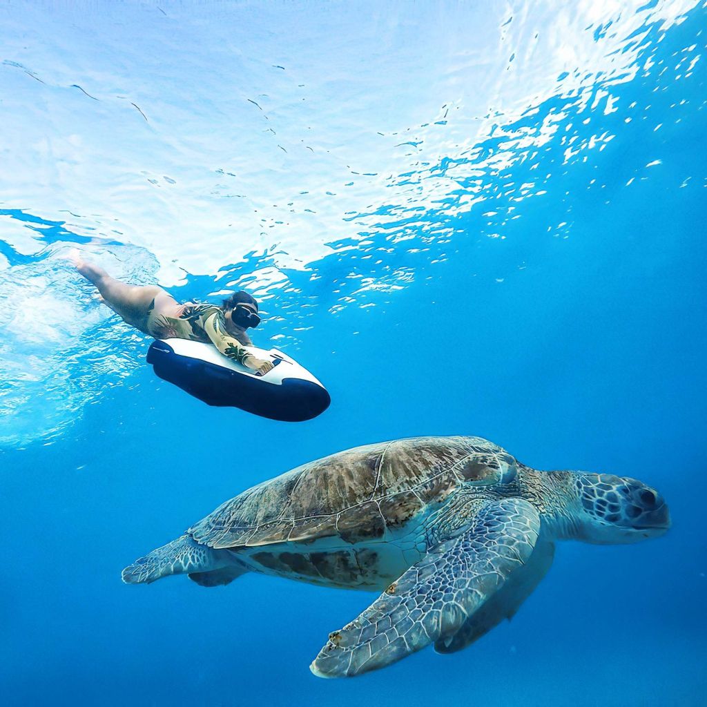 Diving with turtles - SEABOB adventure.jpeg