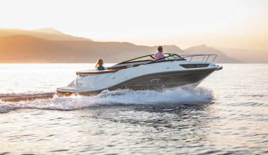 Катер Sea Ray  230 SunSport/615