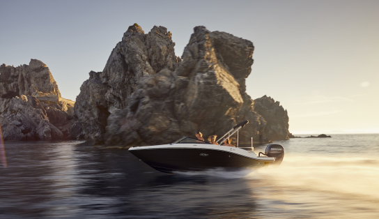 Катер Sea Ray 190 SPX OB (Outboard)/2367400